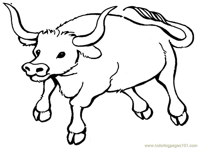 Coloring Pages Bull (Mammals > Bull) - free printable coloring ...