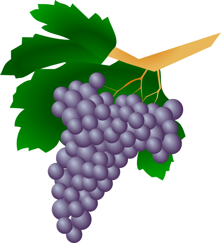Clipart - Grapes - Raisin