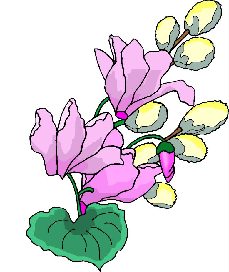 Forget Me Not Flower Clip Art