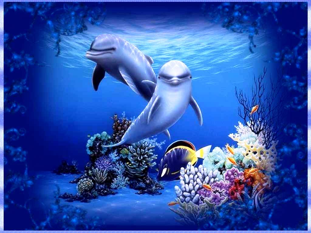 Dolphin-Animated-wallpaper.jpg