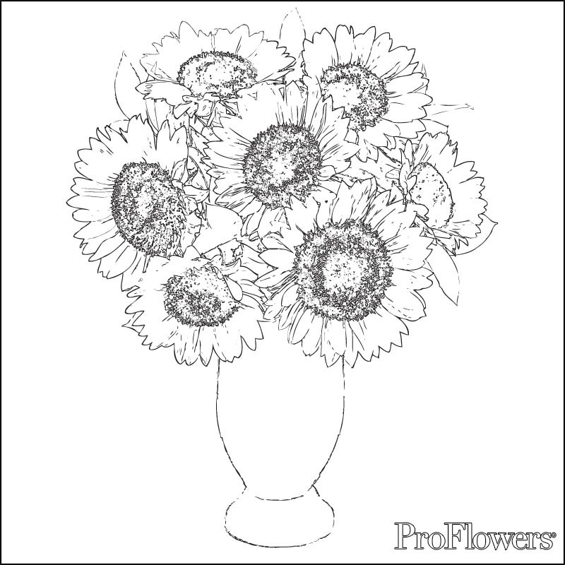 Sunflower Coloring Pages for Kids | ProFlowers Blog