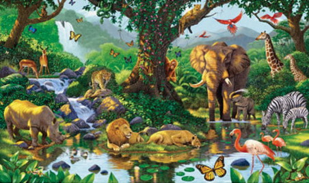 Cool Wild Jungle Animals Wallpaper Murals for Small Modern Kids ...