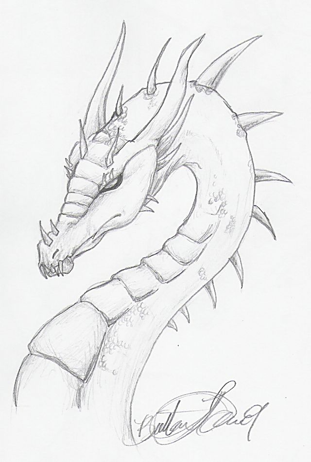 Evil Dragon Drawings - Gallery