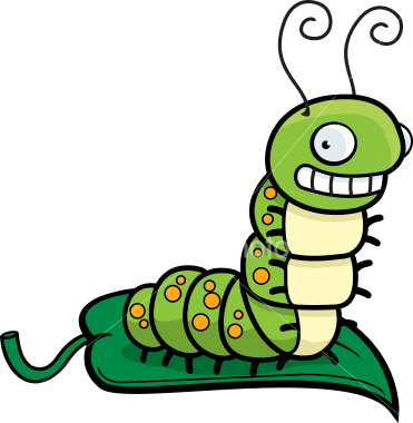 Cartoon Caterpillar | lol-