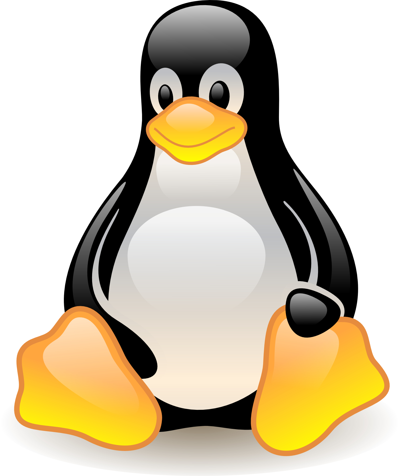 Cartoon Penguin Animal Cute Wallpaper Desktop Free Download 3D ...