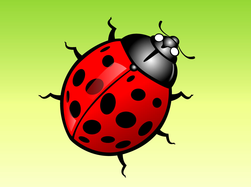 Free Ladybug Vectors