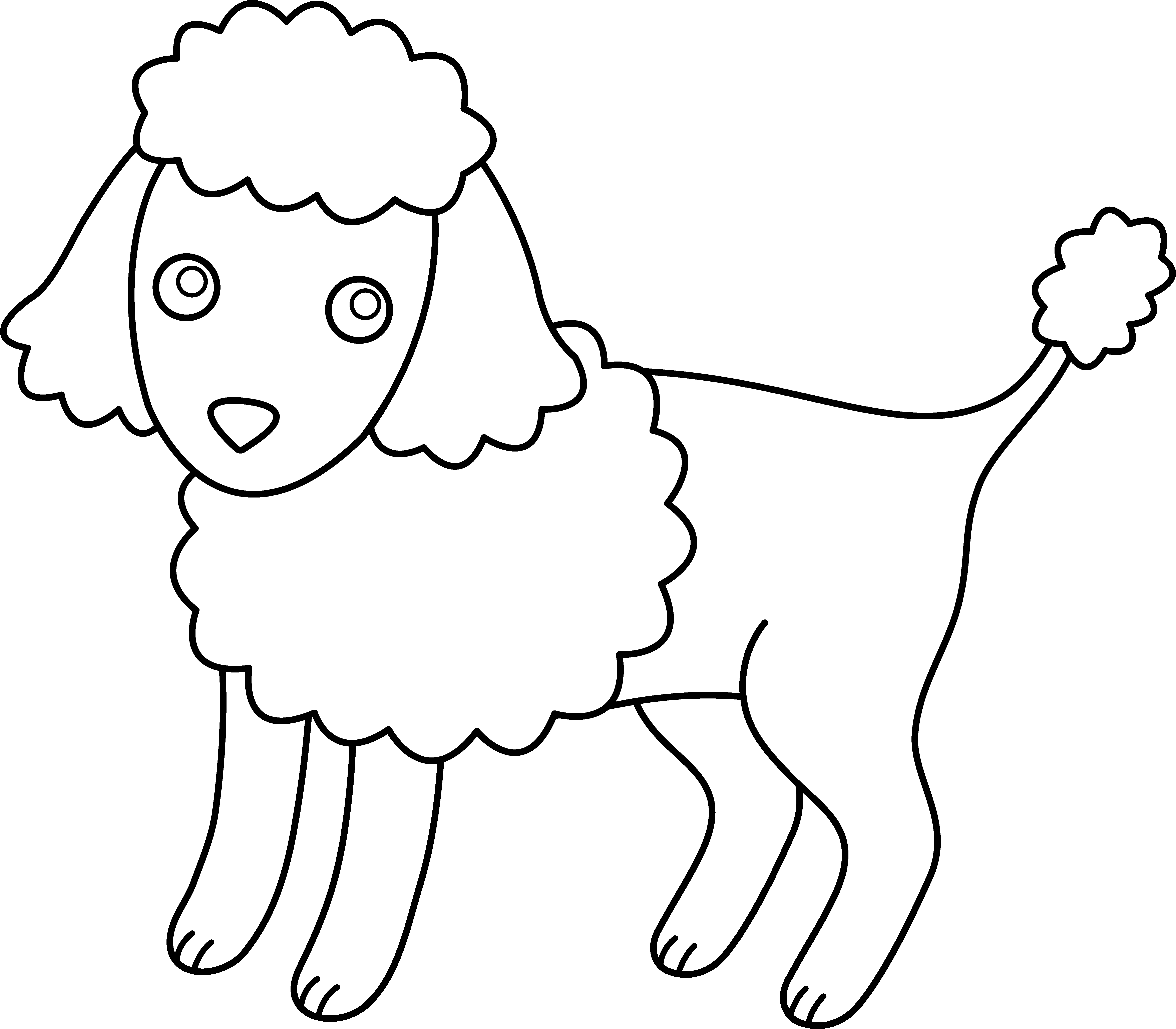 Pix For > French Poodle Clipart