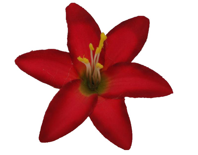 Small Red Lily Hair Flower Clip