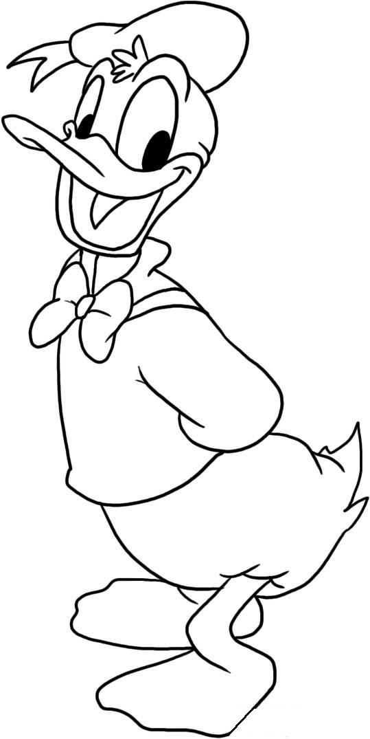 Donald and Deasy Duck Coloring Pages | Learn To Coloring
