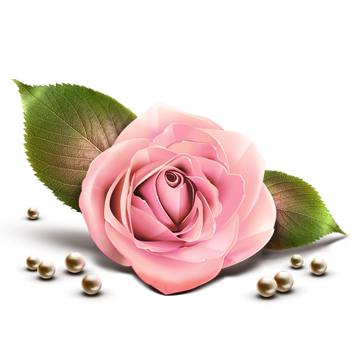Pink Rose Icon, PNG ClipArt Image | IconBug.com