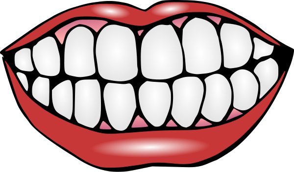 Healthy Tooth Clipart Images & Pictures - Becuo