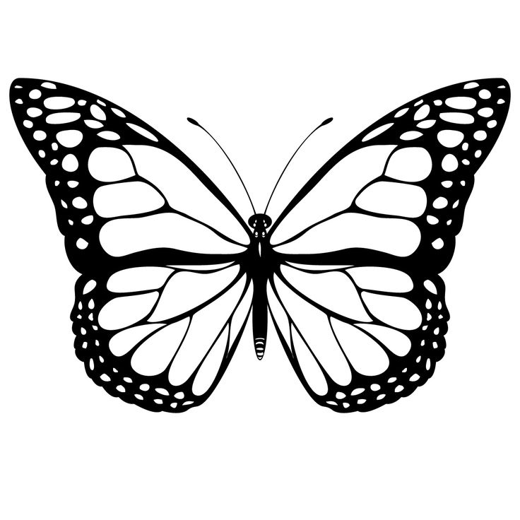 Butterfly printable | BUTTERFLIES | Pinterest