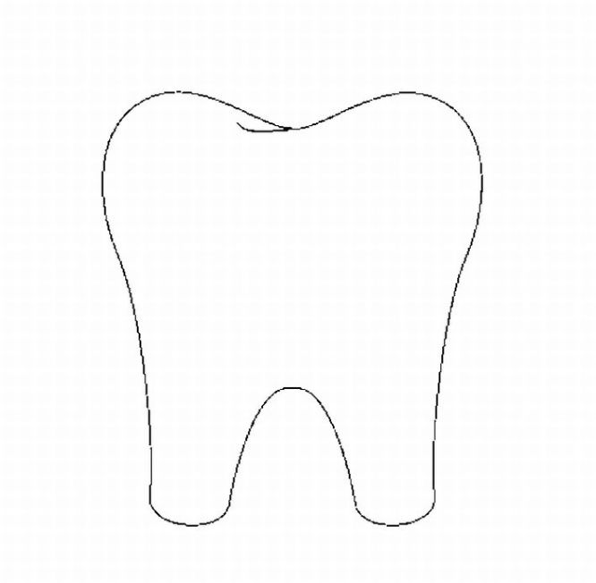 Tooth Outline Free - ClipArt Best