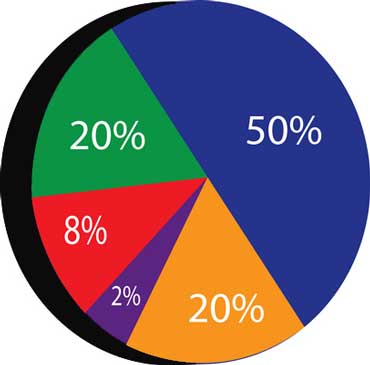 ESL Lesson Charts and Graphs - Page 2