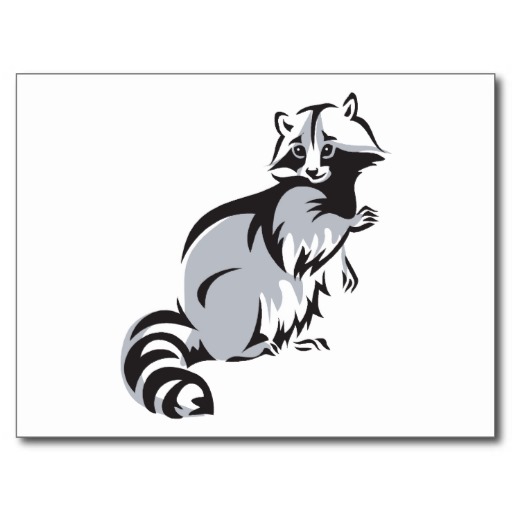 Raccoon Raccoons Coon Mask Procyon Cute Cartoon Postcard | Zazzle