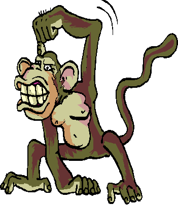 Monkeys Graphics and Animated Gifs