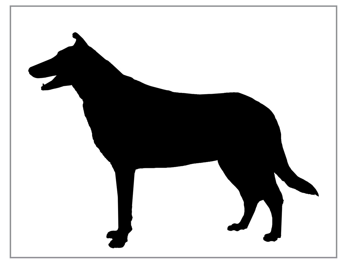 Collie Silhouettes