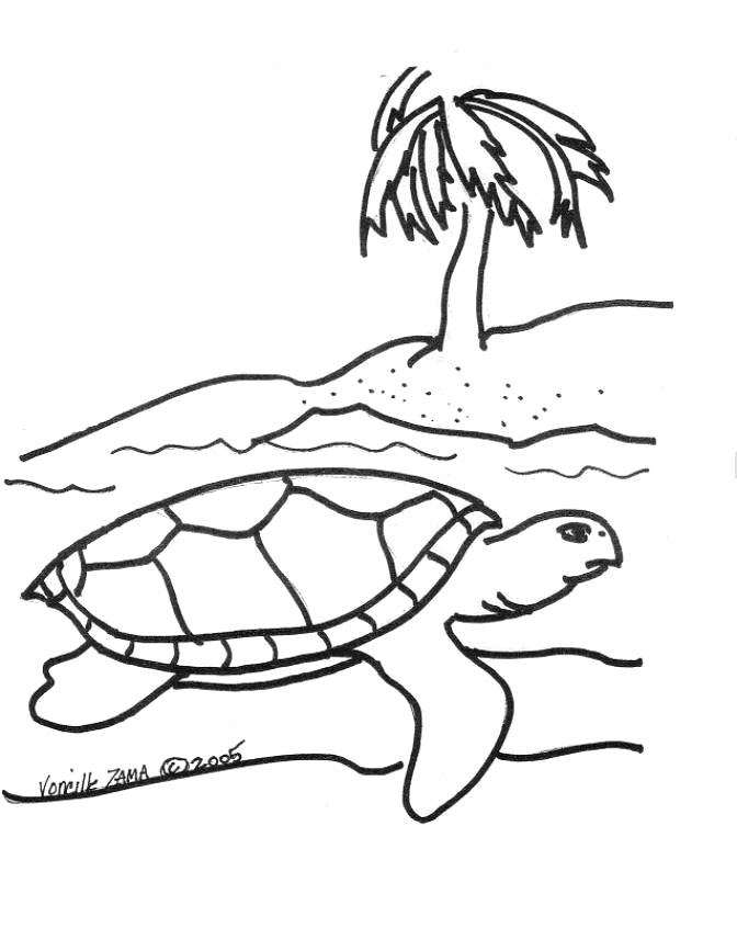 turtle Coloring Page 2 - smilecoloring.com