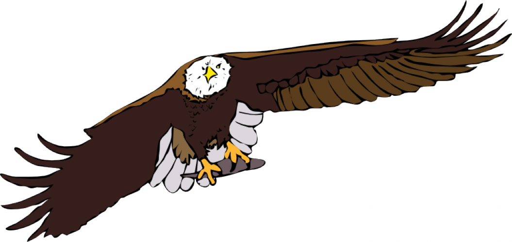 Eagle silhouette vector graphics | Public domain vectors