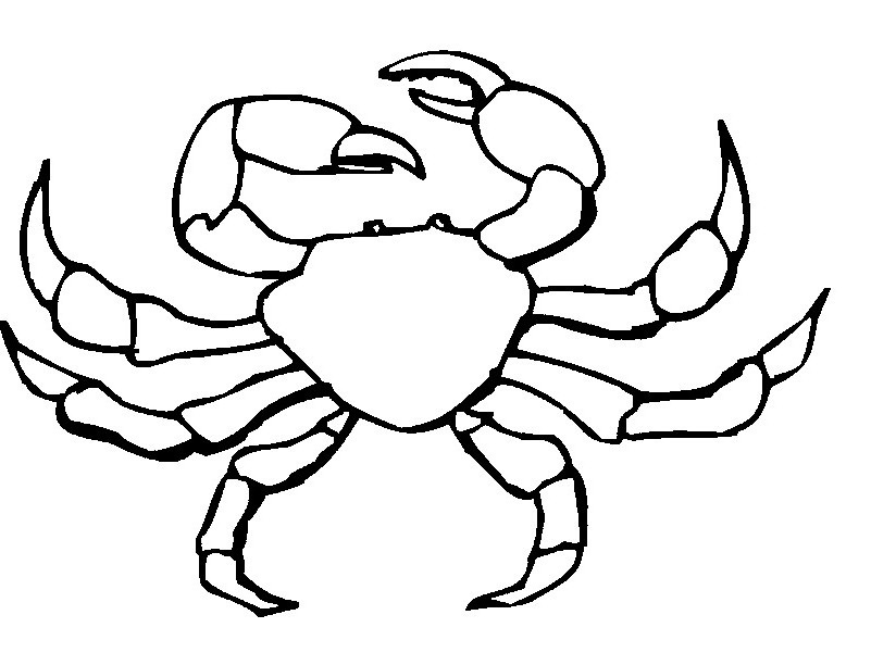 Hermit Crab Coloring Page - Free Coloring Pages For KidsFree ...