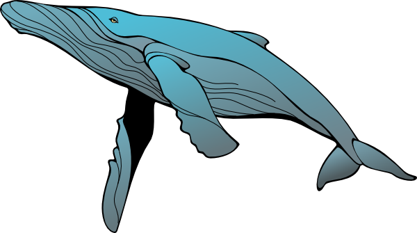 Free Humpback Whale 2 Clip Art