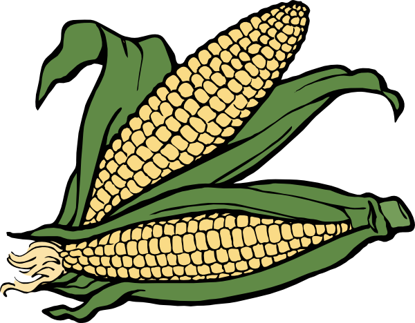 Corn clip art - vector clip art online, royalty free & public domain