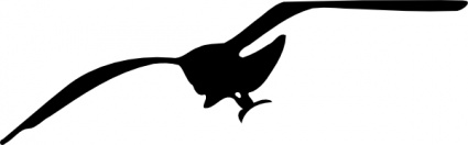 Seagull clip art - Download free Animal vectors