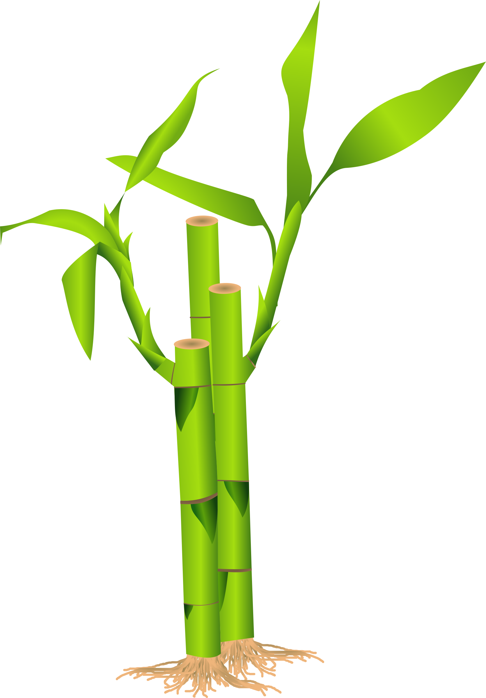 Bamboo Border Free Download - ClipArt Best