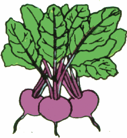Picking Vegetables Clipart | Clipart Panda - Free Clipart Images