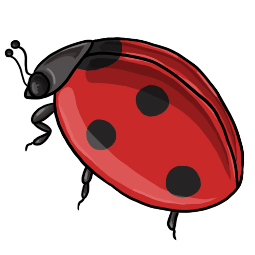 flying ladybug clipart - photo #20