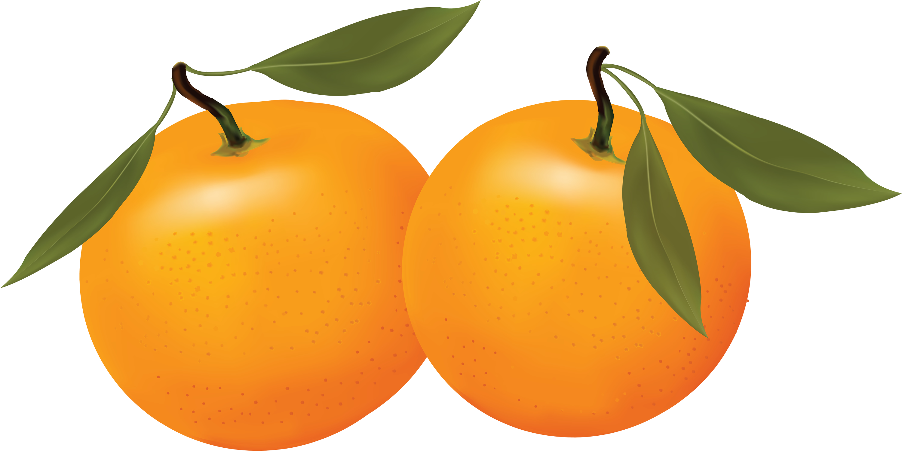 Download wallpaper: Oranges clipart, photo, download