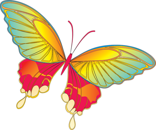 clip art butterfly pictures - photo #19