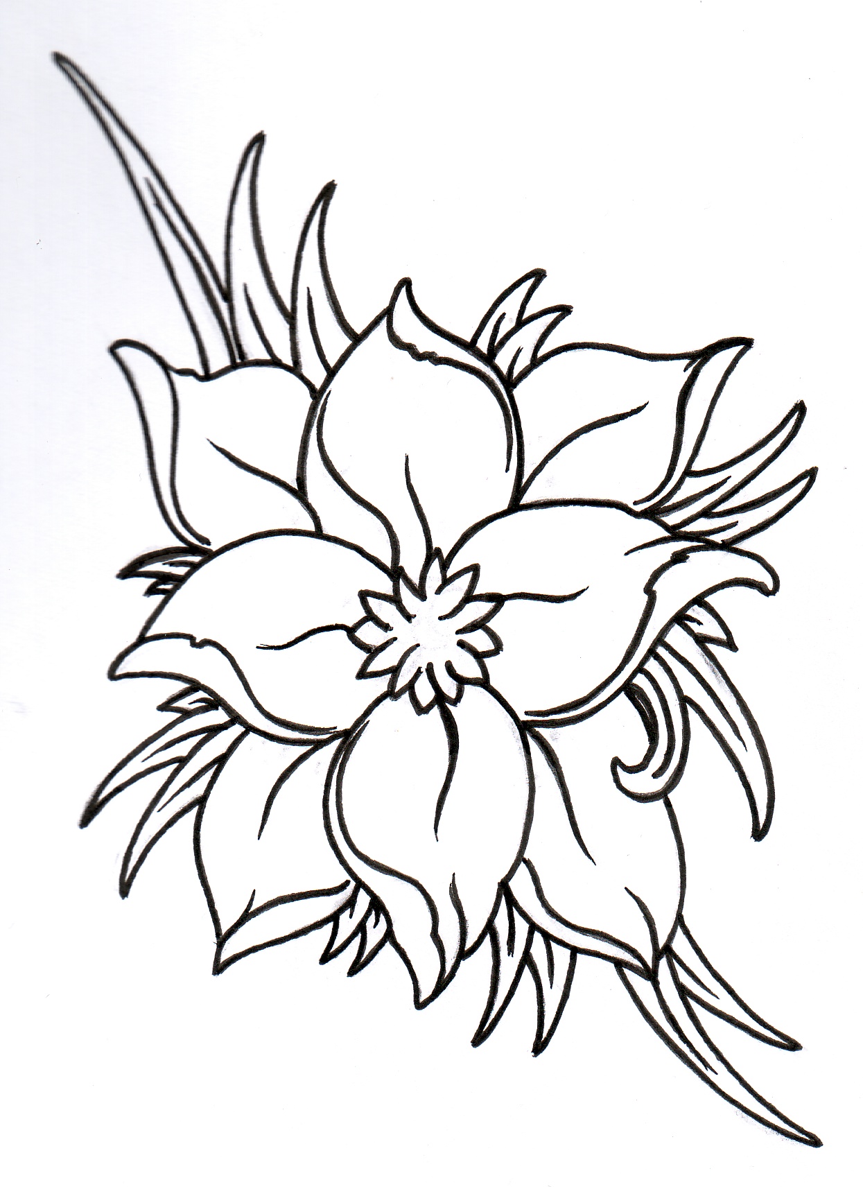 Outline Images Of Flowers Cliparts.co