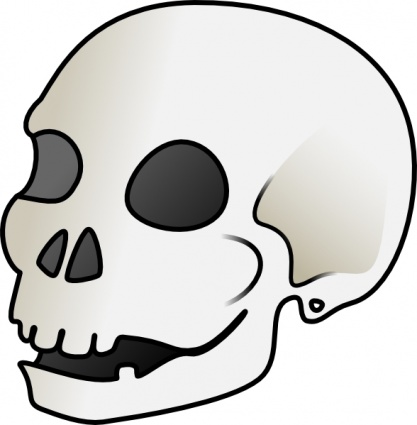 Human Skull clip art - Download free Human vectors