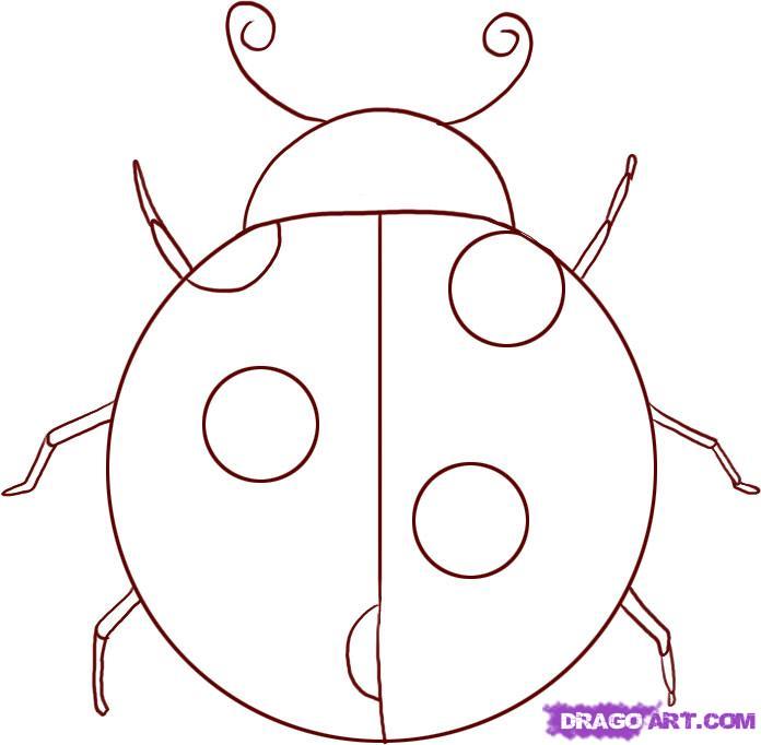 Ladybug Drawing - Cliparts.co