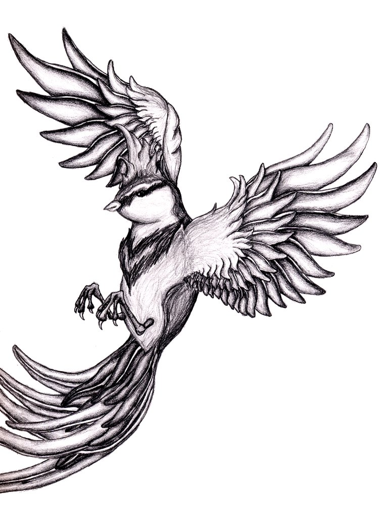 Flying Bird Drawing - Cliparts.co