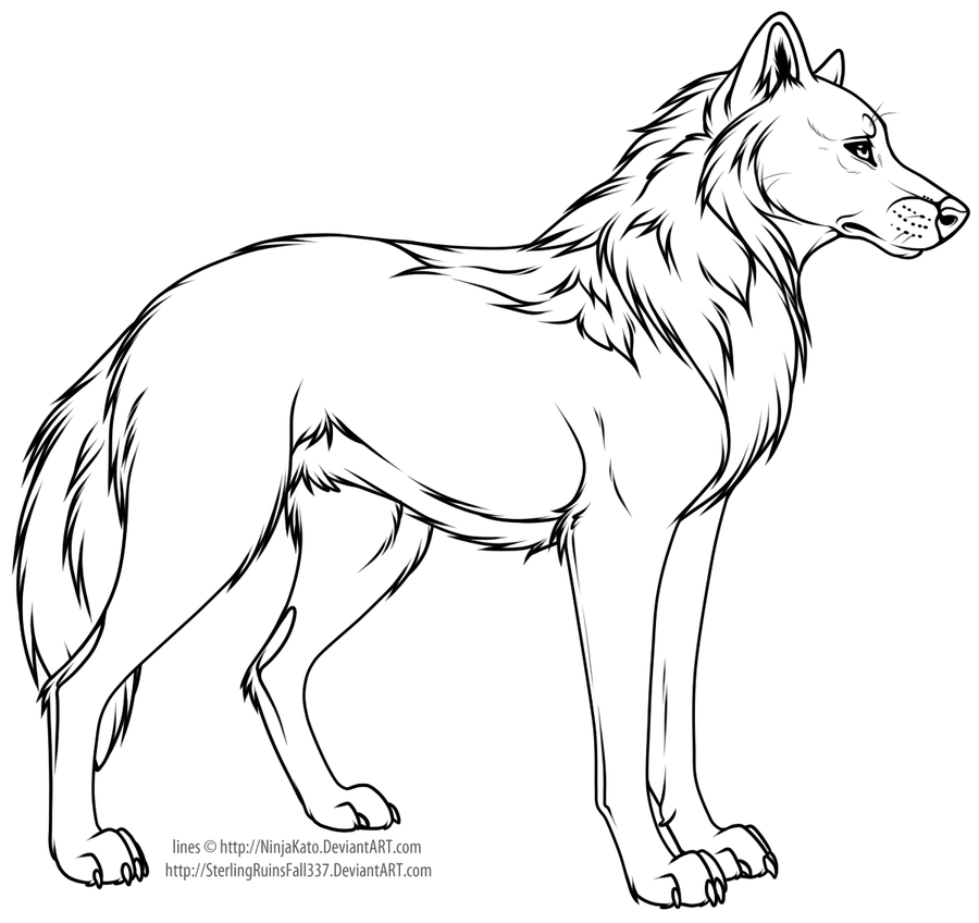 Cartoon wolf or dog line art by NinjaKato on DeviantArt