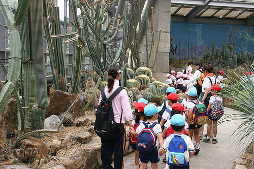 What is in a Field Trip? | Langwitches Blog