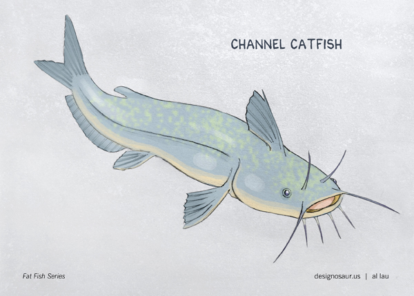 Catfish Drawing - Cliparts.co