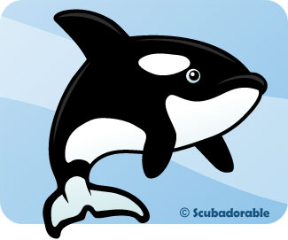Orca by Scubadorable | Cute Cartoon Killer Whale, Blackfish ...