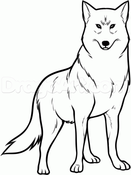 How to Draw Wolf Kiba, Step by Step, Anime Characters, Anime, Draw ...