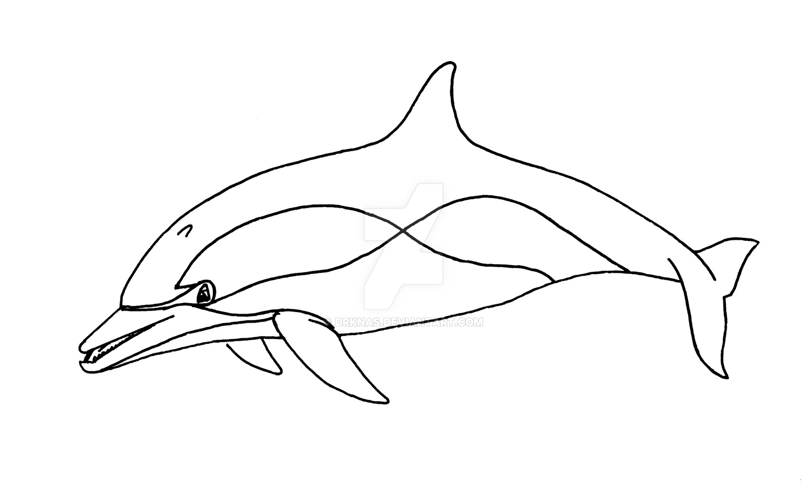 Common Dolphin line drawing by drknas on DeviantArt