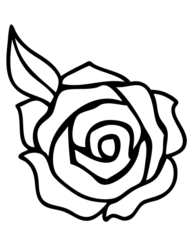 Rose Line Art Coloring Page | HM Coloring Pages