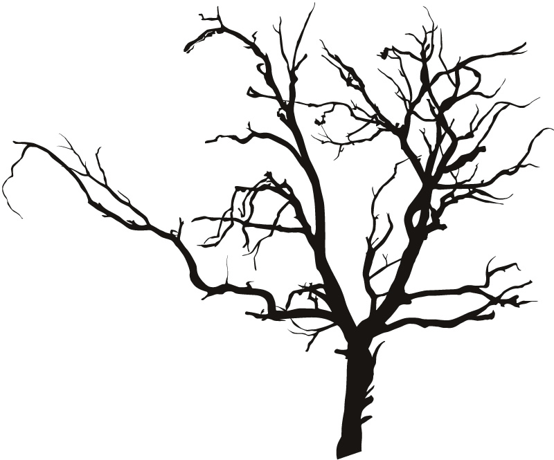 Scary Bare Tree Wall Stickers Kids Bedroom Monsters Wall Art Decal ...