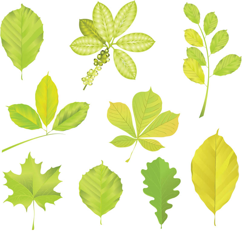 Spring | Vector Graphics Blog - Page 2