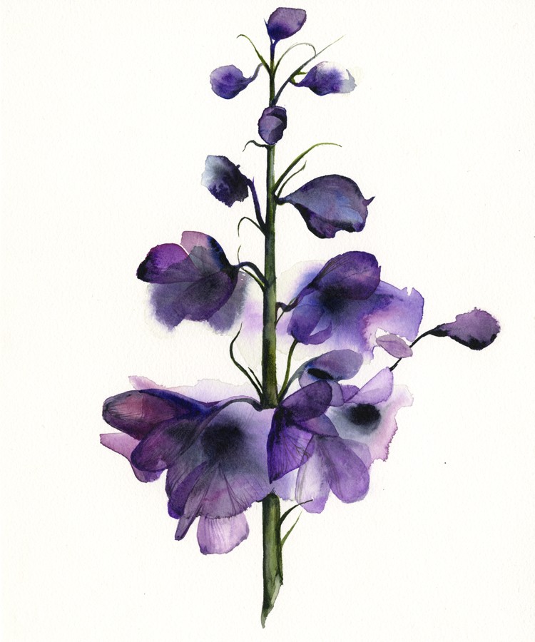 Popular items for watercolour flower on Etsy