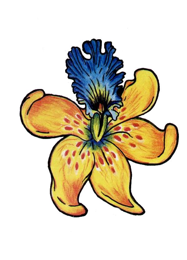 Hawaiian Flower Tattoo Designs Ideas Picture | Tattoo 1234