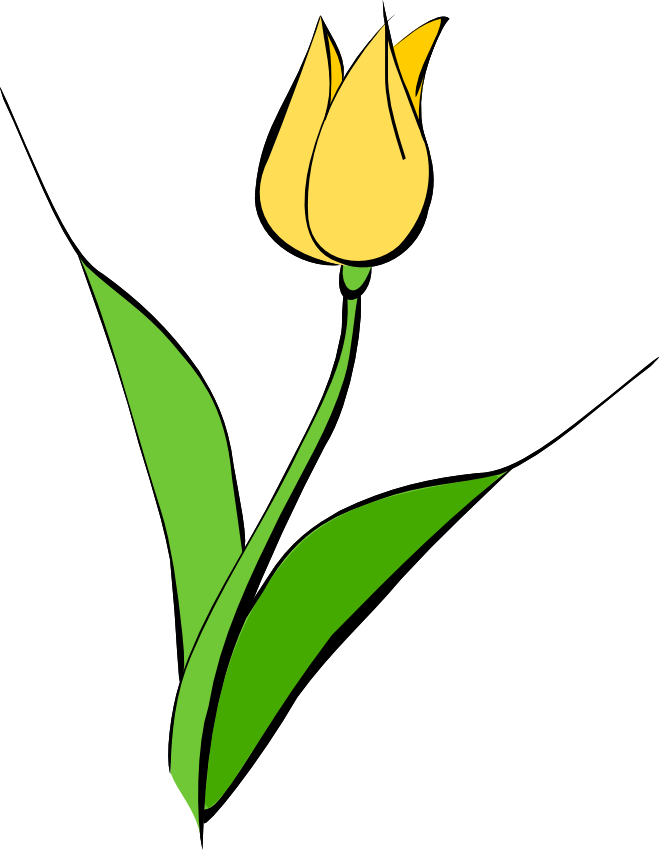 yellow tulip clipart - photo #4