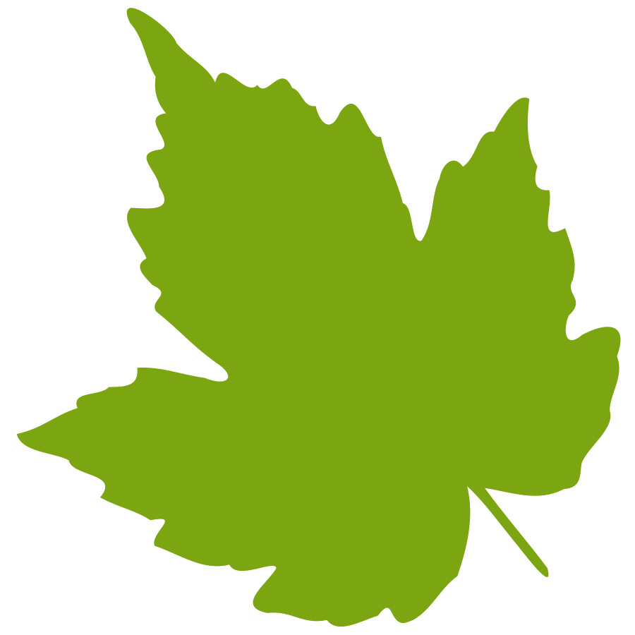 clip art oak leaf - photo #10
