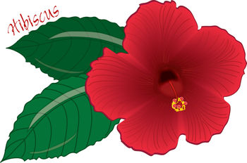 Clipart Tropical Flowers | Clipart Panda - Free Clipart Images